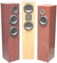 High-end / Esoteric  floor standing loudspeaker systems $1500-$2500 per pair